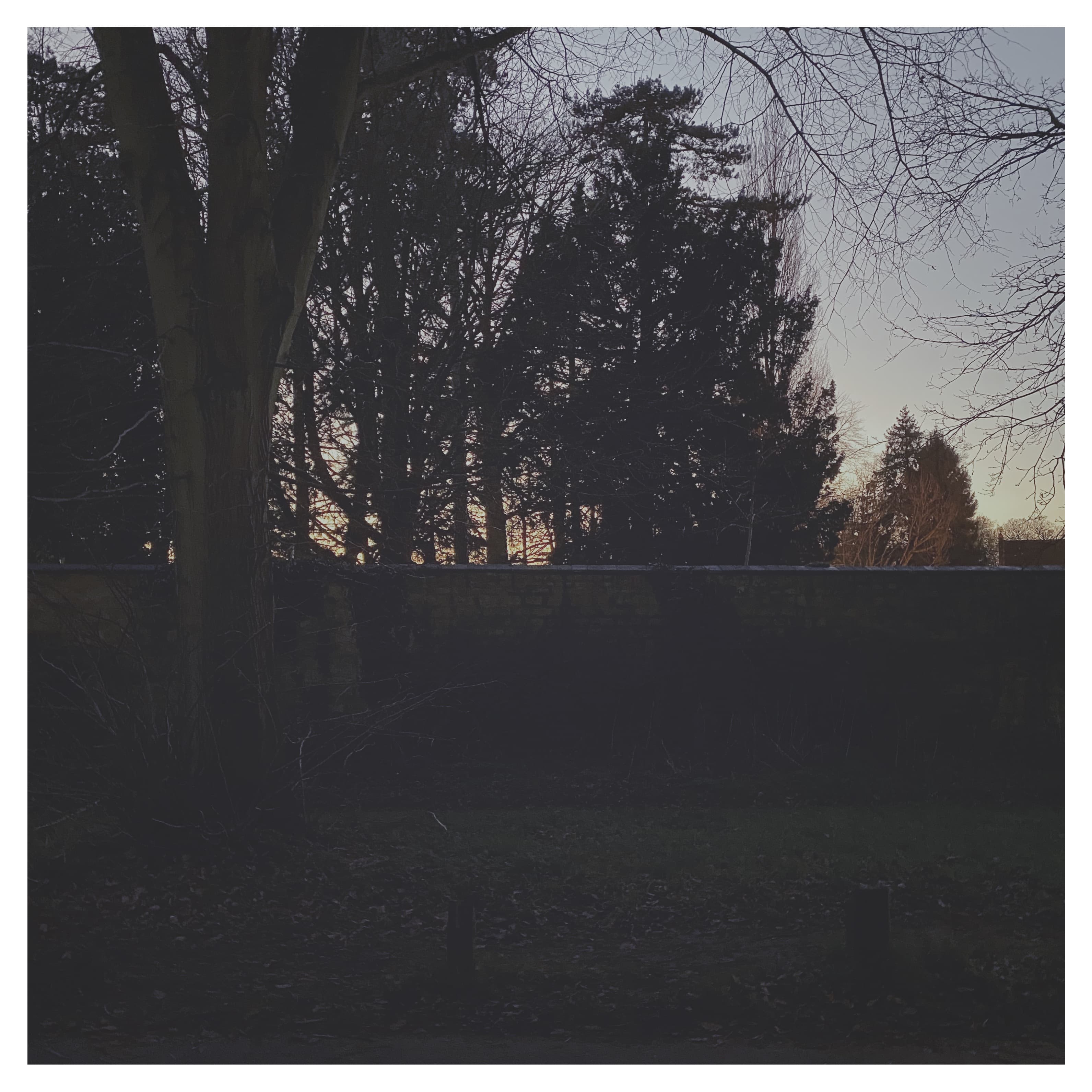Dusk